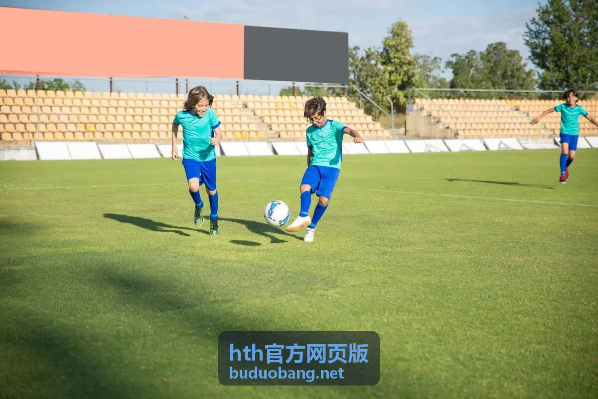hth官方网页版会员权益说明与等级服务总览图