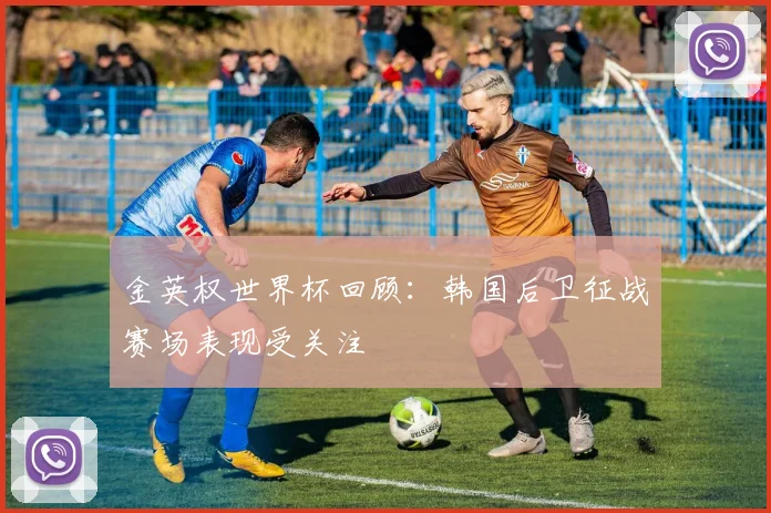 金英权世界杯回顾：韩国后卫征战赛场表现受关注