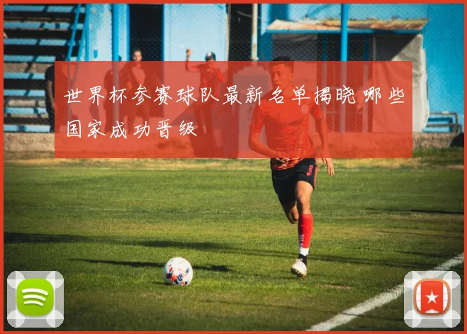 世界杯参赛球队最新名单揭晓 哪些国家成功晋级