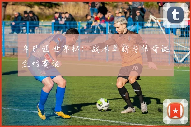 年巴西世界杯：战术革新与传奇诞生的赛场