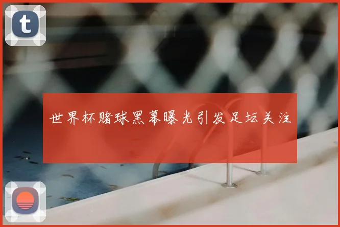 世界杯赌球黑幕曝光引发足坛关注